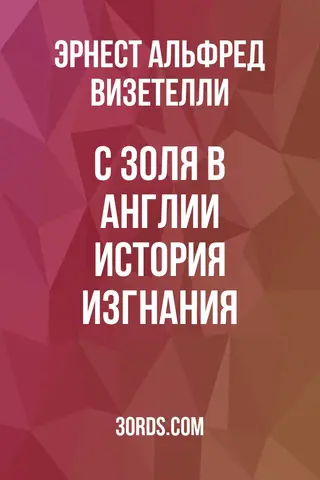 Обложка аудиокниги «С Золя в Англии: История изгнания»