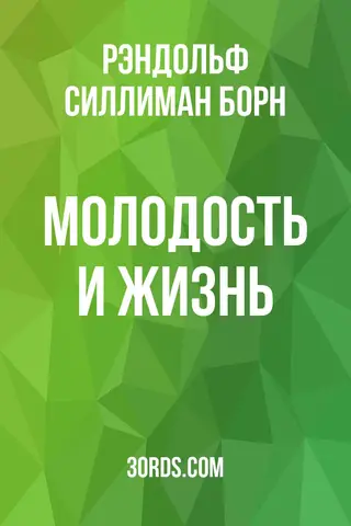 Обложка аудиокниги «Молодость и жизнь»