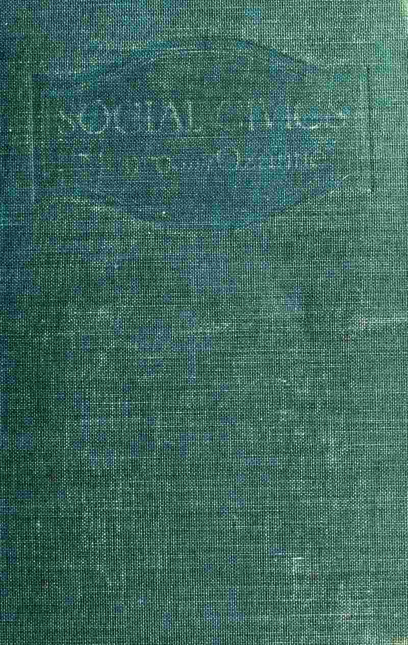 Cover of the audiobook “Social Civics”