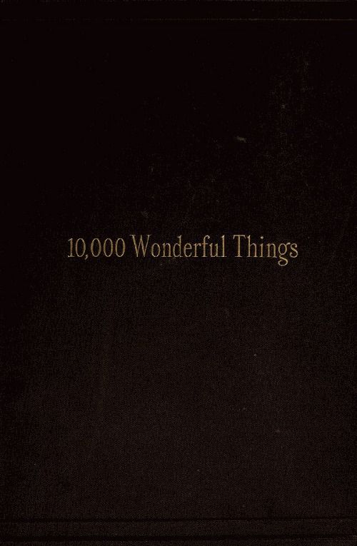 Cover of the audiobook “Ten Thousand Wonderful Things”