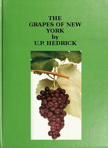 Cover of the audiobook “The grapes of New York”