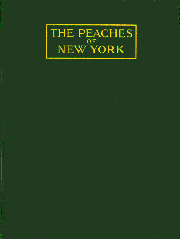 Cover of the audiobook “The peaches of New York”