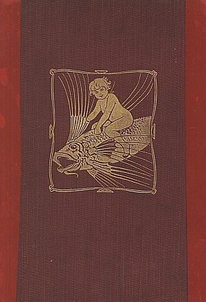 Cover of the audiobook “The Water-Babies: A Fairy Tale for a Land-Baby”